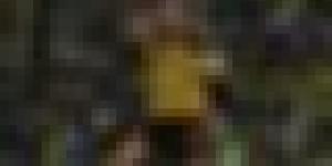 بهدف وصناعة.. بن سبعيني يقود دورتموند لاكتساح فرايبورغ برباعية في البوندسليغا