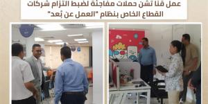 حملات تفتيش لمتابعة تطبيق «العمل عن بُعد» بالقطاع الخاص في قنــا
