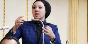 أميرة صابر: "الحضانة المشتركة" تجربة دولية ناجحة يجب تطبيقها بما يحقق مصلحة الطفل