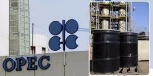 وزير الطاقة الإماراتي: سيكون لدينا مرونة في ظل عدم وجود التزامات بحصص إنتاج النفط