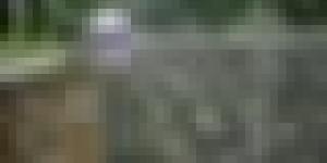 أمطار غزيرة ورياح قوية عبر عدة ولايات