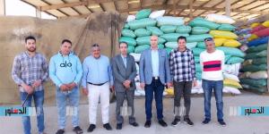 تموين كفر الشيخ: توريد 28 ألفًا و624 طن قمح منذ انطلاق موسم