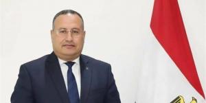 مصر تُناقش آليات إنشاء مراكز تميز بحثية مشتركة مع "هيروشيما اليابانية"