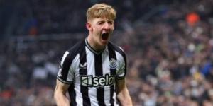 بايرن ميونخ يجدد تفاوضه مع نيوكاسل يونايتد لضم جوردون