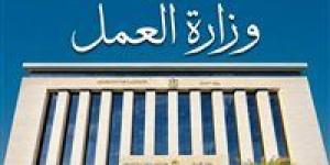 وزارة العمل تحذر من صفحات وهمية تستغل منح العمالة غير المنتظمة للنصب على المواطنين