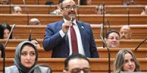 النائب نادي عبد الرسول: تعديل قانون المعاشات يؤكد اهتمام القيادة السياسية بملف الحماية الاجتماعية