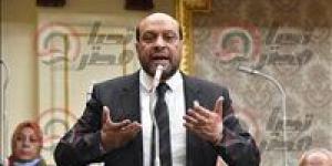 «نحتاج إلى تعظيم الناتج القومي وتخفيف الأعباء عن المواطن».. النائب محمود الشامي يدعو لتعزيز الشراكات ودعم الصناعة