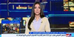 أستاذ علوم سياسية: الاتصال المصري الإماراتي جاء في توقيت إقليمي بالغ الحساسية