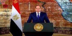 الرئيس السيسي يستقبل رئيس مجلس إدارة المجلس العالمي للسفر والسياحة