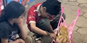 الرحمة في قلوبهم.. أطفال يضعون قطة صغيرة داخل عجلة الرُضع (فيديو)