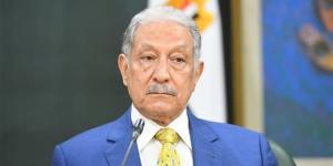 صلاح حليمة: قمة أفريقيا - فرنسا علامة فارقة ومصر تقود نموذج شراكة فى القارة