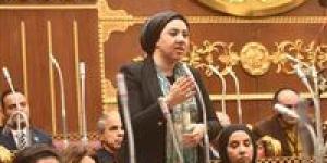 لحماية حقوق المبدعين في العصر الرقمي.. أميرة صابر توضح تفاصيل مقترح الفنان ياسر جلال “حق الأداء العلني”