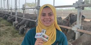 طبيبة بيطرية توضح التغذية الصحيحة للحفاظ على وزن الأضحية قبل الذبح (فيديو)