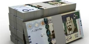 سعر الريال السعودي اليوم الإثنين 1 يونيو 2026 مقابل الجنيه المصري