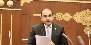 النائب محمد المنزلاوي: العلمين الجديدة تؤكد قدرة الدولة على صناعة المستقبل