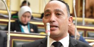 النائب فريدي البياضي لـ " تحيا مصر": مسارحديثي الولادة خطوة إيجابية ونطالب بـ ضمان تطبيقه فعليًا في كل المحافظات