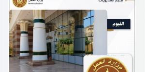 "عمل الفيوم" تكثف حملاتها التفتيشية بطامية وتتابع اشتراطات السلامة بمصاعد الديوان