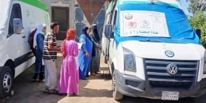 محافظ الدقهلية: 1337 مواطن استفادوا من القافلة الطبية المجانية بقرية جاليا الأولى ببلقاس