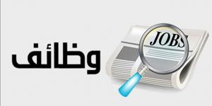 السويس.. بروتوكولات تعاون مع القطاع الخاص لتوفير فرص عمل للمتميزين
