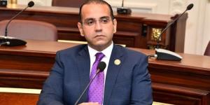 نائب: مصر تقود جهودًا متوازنة لترسيخ الاستقرار في المنطقة