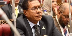 برلماني: التوجيهات الرئاسية بشأن حوكمة التعيينات ترسخ لدولة الكفاءة