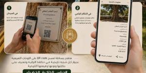 بخريطة تفاعلية وQR Code.. التنسيق الحضاري يطلق مشروع "توثيق الأشجار النادرة والمعمرة"