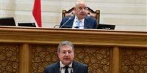 النائبة حنان نصير: اتفاقيات التجارة التفضيلية تعزز الصادرات المصرية.. وضرورة دعم التنافسية والخدمات اللوجستية