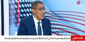 ضياء رشوان: الإعلام المصري يواجه أزمات هيكلية تتعلق بالمؤسسات