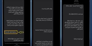 بعد تحذير الداخلية من رسائل المخالفات المرورية المزيفة.. العقوبة القانونية للنصب الإلكتروني