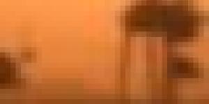رياح قوية وزوابع رملية على هذه الولايات