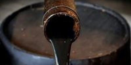 النفط
      يخسر
      6%
      للأسبوع
      الثاني|
      برنت
      عند
      76.4
      دولار
      وتراجع
      عالمي
      بفعل
      التوترات
      التجارية