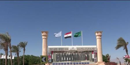 «مدينة
      السلام
      تتأهب
      لليوم
      التاريخي»..
      شرم
      الشيخ
      تتزين
      لاستقبال
      قادة
      دول
      العالم
      المشاركة
      في
      مراسم
      توقيع
      اتفاق
      غزة