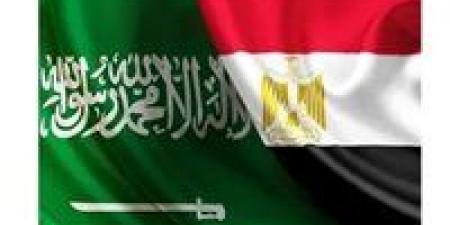 سباق
      استثماري
      خليجي
      على
      مصر..
      والسعودية
      في
      الصدارة