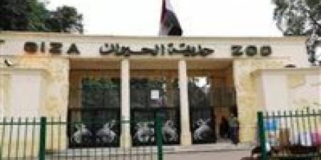 حديقة
      الحيوان
      بالجيزة..
      بوابة
      سرية
      بين
      التاريخ
      والطبيعة