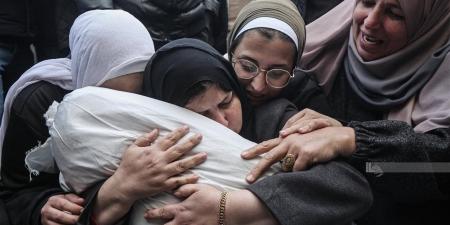 36
      شهيدًا
      في
      يوم
      دامٍ
      بغزة..
      قصف
      إسرائيلي
      مكثّف
      يستهدف
      منازل
      وخيام
      نازحين
      ومقرات
      إعلامية