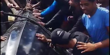 طولها
      10
      أمتار
      ووزنها
      2
      طن..
      اصطياد
      سمكة
      عملاقة
      في
      غزة
      (فيديو)
