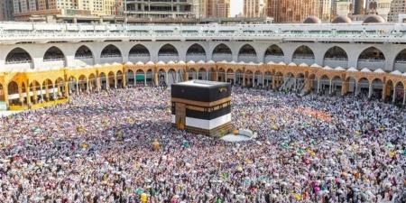 ما
      هي
      ضوابط
      تسجيل
      الشركات
      في
      موسم
      الحج
      السياحي
      1447هـ؟
