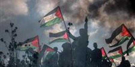 وفود
      حماس
      والجهاد
      والجبهة
      الشعبية
      في
      القاهرة..
      حوار
      فلسطيني
      برعاية
      مصرية