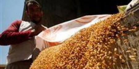 مصر
      تطلق
      مبادرة
      "ازرع"
      لزراعة
      250
      ألف
      فدان
      قمح
      جديدة
