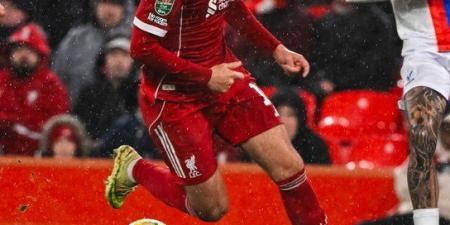 في
      غياب
      محمد
      صلاح:
      كريستال
      بالاس
      يكتسح
      ليفربول
      بثلاثية
      نظيفة
      ويطرده
      من
      كأس
      رابطة
      المحترفين
      الإنجليزية