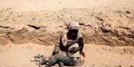 «التاريخ
      يعيد
      وجعه»..
      صورة
      أم
      وطفلها
      تهزّ
      العالم
      وتكشف
      مأساة
      السودان