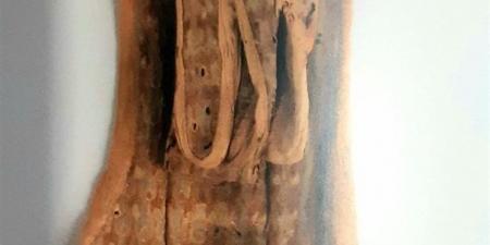 قفازات
      الملك
      الذهبي
      تظهر
      لأول
      مرة
      بعد
      الترميم
      بالمتحف
      المصري
      الكبير
      (صور)