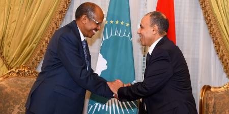 «مصر
      وتعزيز
      الأمن
      في
      القارة
      الأفريقية»..
      ماذا
      دار
      في
      لقاء
      وزير
      الخارجية
      مع
      رئيس
      مفوضية
      الاتحاد
      الأفريقي؟