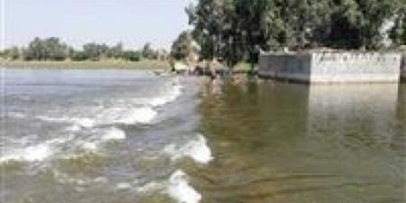 شراقي:
      مفيض
      توشكى
      أنقذ
      مصر
      من
      كوارث
      مائية
      متكررة
      منذ
      60
      عامًا