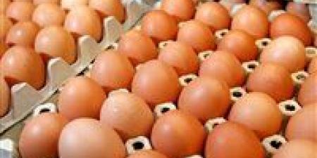 شعبة
      المواد
      الغذائية:
      انخفاض
      سعر
      طبق
      البيض
      بمقدار
      10
      جنيهات
      خلال
      4
      أيام