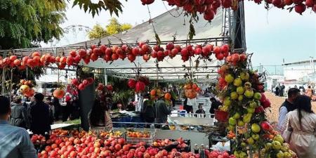 ختام
      فعاليات
      مهرجان
      الرمان
      بتستور
      تونسية
      بمشاركة
      220
      عارضًا