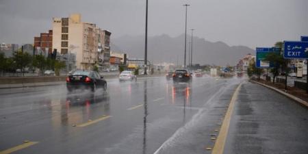 عاجل.. أمطار رعدية.. حالة الطقس اليوم الثلاثاء 4 نوفمبر 2025