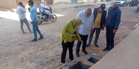 حي العامرية أول يتابع أعمال رفع كفاءة الطرق والمرافق