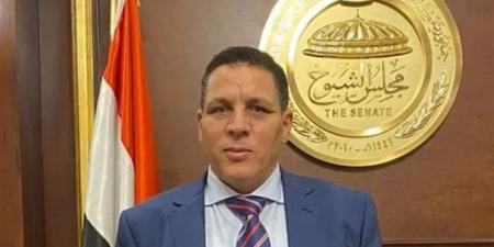 أحمد محسن: انتخابات مجلس النواب المقبلة ستعكس وعي المصريين وتعزز المسار الديمقراطي