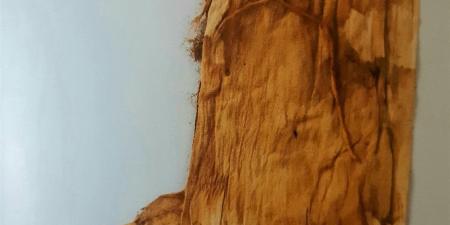 للمرة الأولى.. عرض "شرابات" الملك توت عنخ آمون بالمتحف المصري الكبير (صور)